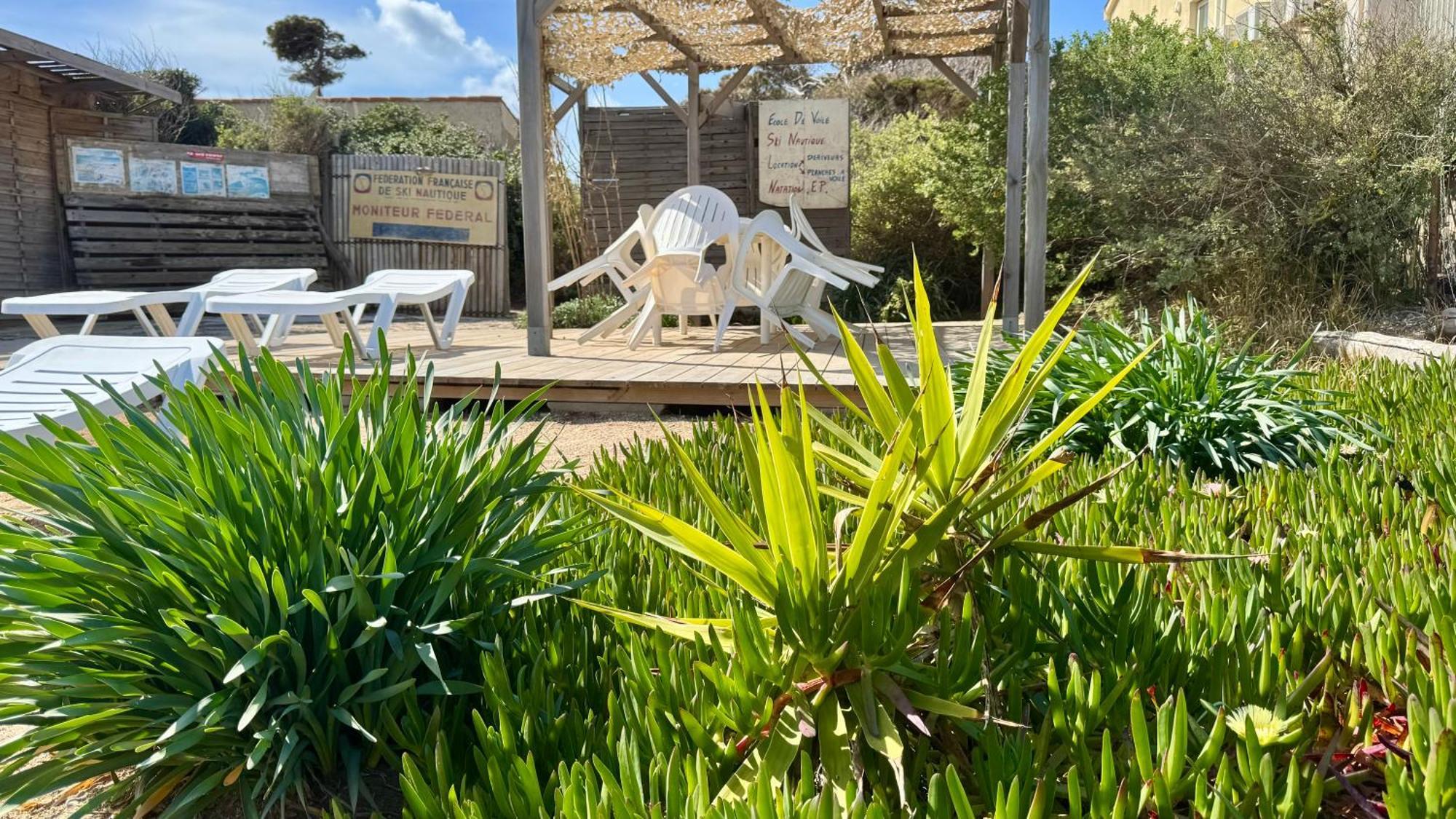 Le Club Des Cigales Apartment Hyeres Bagian luar foto